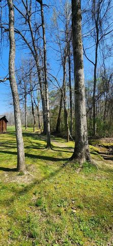 406 Center Hill Church Road, Chatsworth, GA 30705