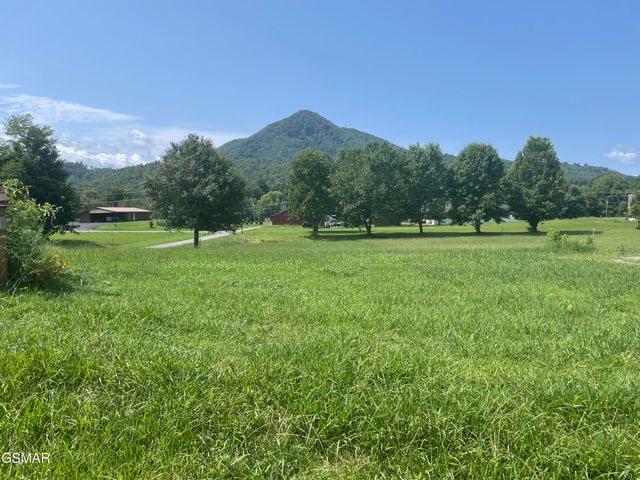 3925 Katy Hollar Road, Sevierville, TN 37862
