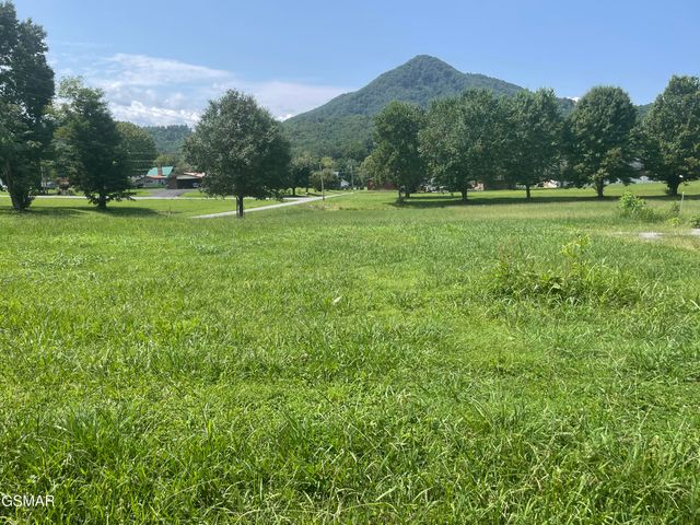 3925 Katy Hollar Road, Sevierville, TN 37862