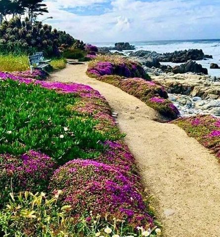 705 Union Street, Pacific Grove, CA 93950