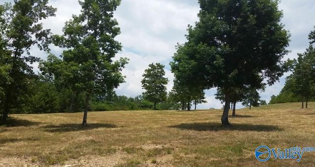 47 County Road 767, Cedar Bluff, AL 35959