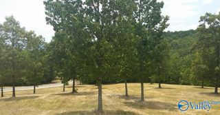 47 County Road 767, Cedar Bluff, AL 35959