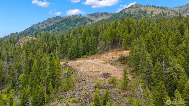 0 Morgan Creek, Ronald, WA 98940