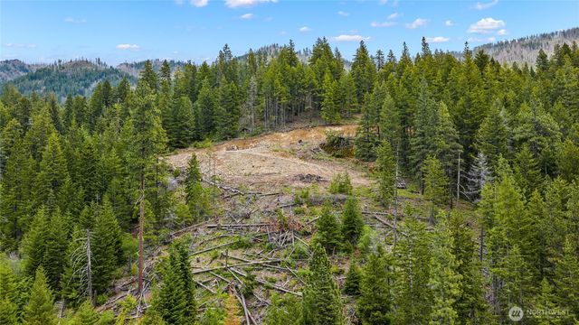 0 Morgan Creek, Ronald, WA 98940
