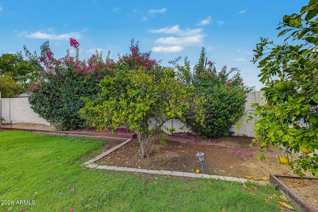 3612 W SARAGOSA Street, Chandler, AZ 85226