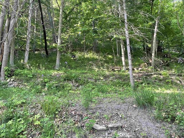 W10728 Tipperary Road, Poynette, WI 53955