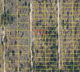 120 KANSAS AVENUE, Hawthorne, FL 32640