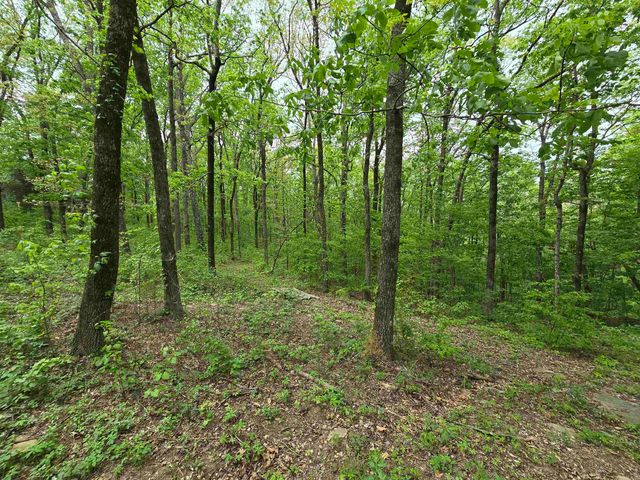 1720 Greers Ferry, Drasco, AR 72530