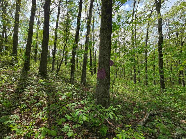 1720 Greers Ferry, Drasco, AR 72530