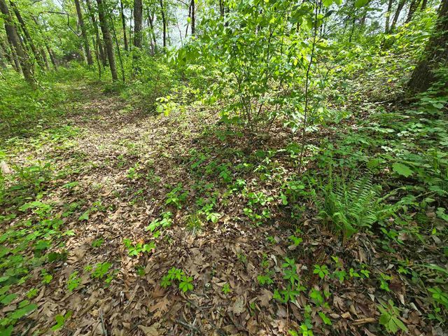 1720 Greers Ferry, Drasco, AR 72530