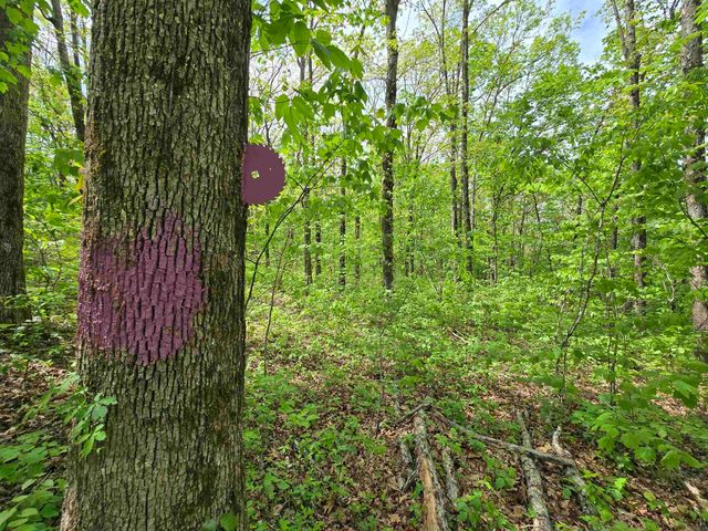 1720 Greers Ferry, Drasco, AR 72530