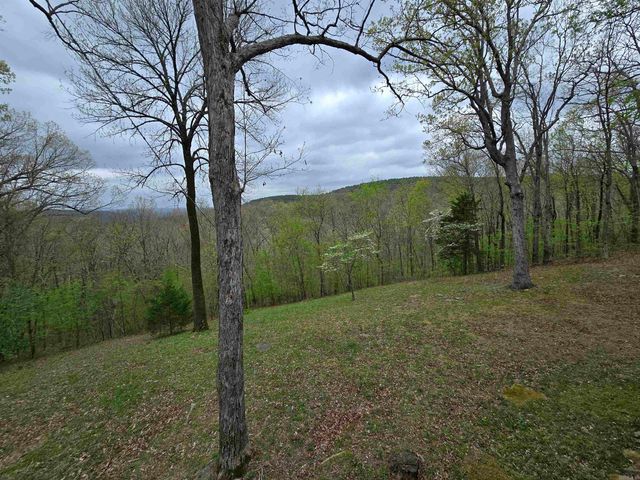 1720 Greers Ferry, Drasco, AR 72530