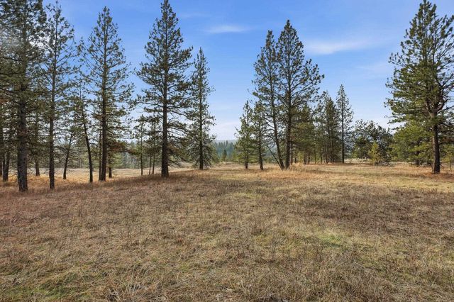 3086 E Balsam Hill Ln, Valleyford, WA 99036