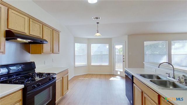 1105 Burgess Drive, Leander, TX 78641