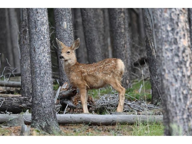 26269 Richmond Hill Rd, Conifer, CO 80433