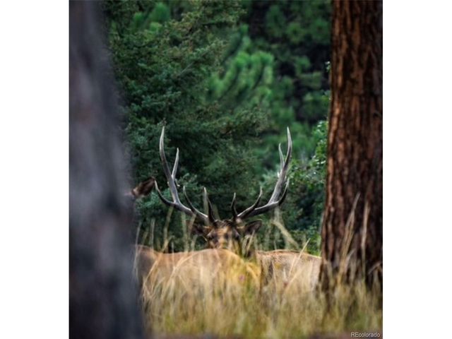 26269 Richmond Hill Rd, Conifer, CO 80433