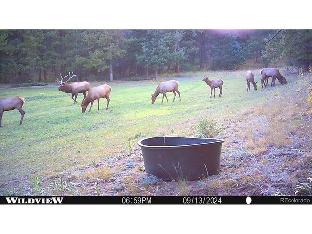 26269 Richmond Hill Rd, Conifer, CO 80433