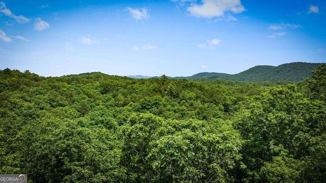 62 Tiffany Lane, Mineral Bluff, GA 30559