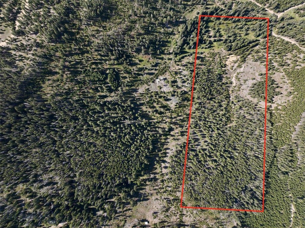 NHN Bell Trail, Philipsburg, MT 59858