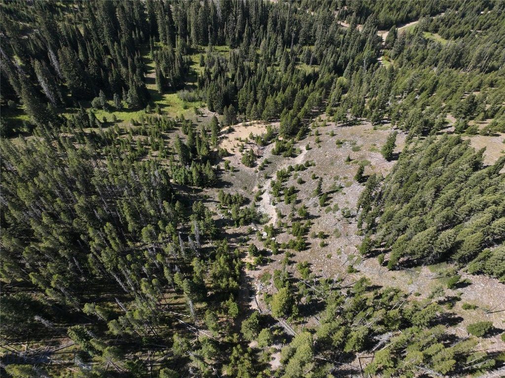 NHN Bell Trail, Philipsburg, MT 59858 photo 10