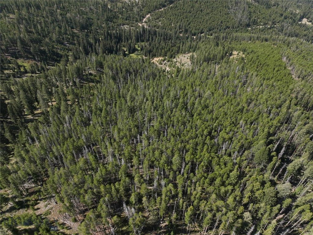 NHN Bell Trail, Philipsburg, MT 59858 photo 11