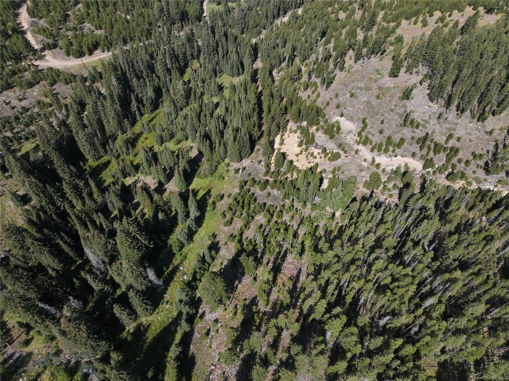 NHN Bell Trail, Philipsburg, MT 59858 photo 12