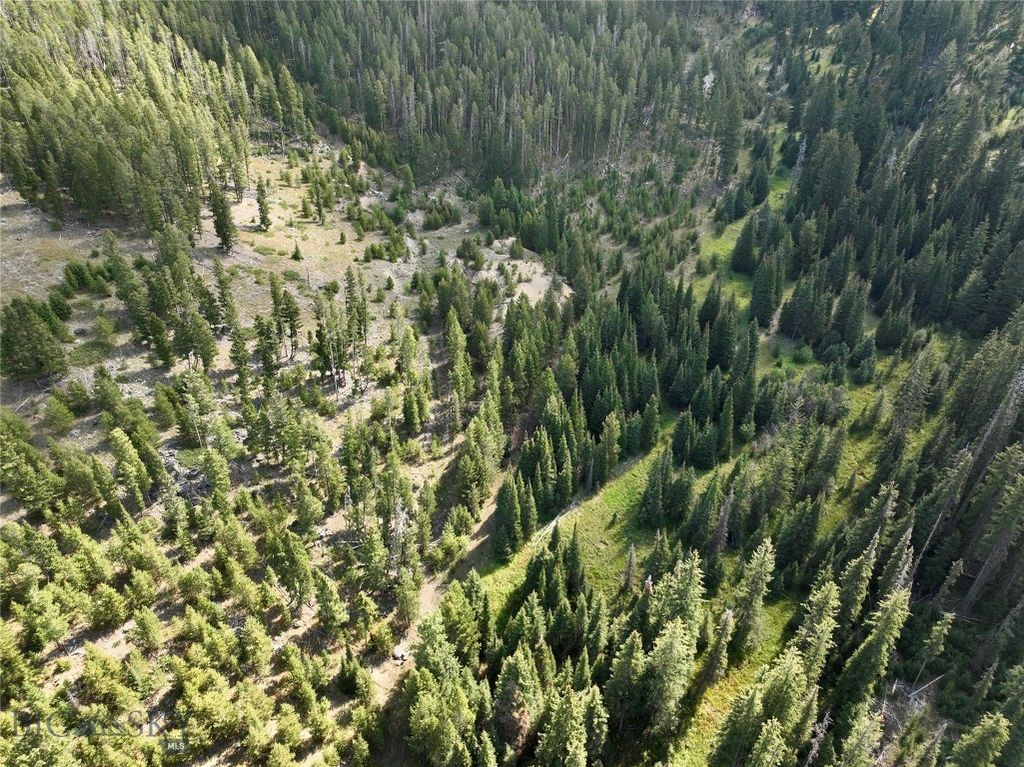 NHN Bell Trail, Philipsburg, MT 59858 photo 13
