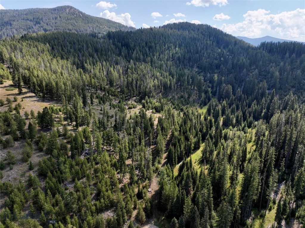 NHN Bell Trail, Philipsburg, MT 59858 photo 14