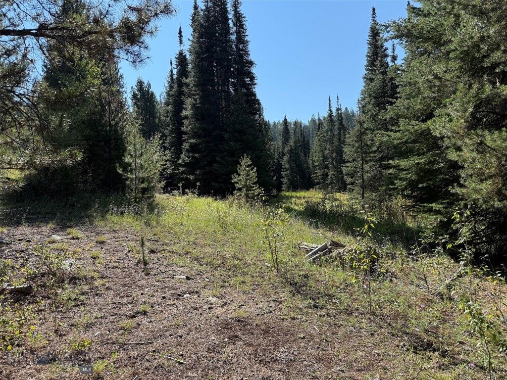 NHN Bell Trail, Philipsburg, MT 59858 photo 15