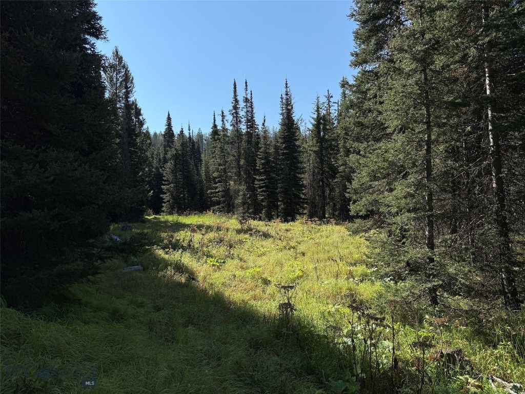 NHN Bell Trail, Philipsburg, MT 59858 photo 16