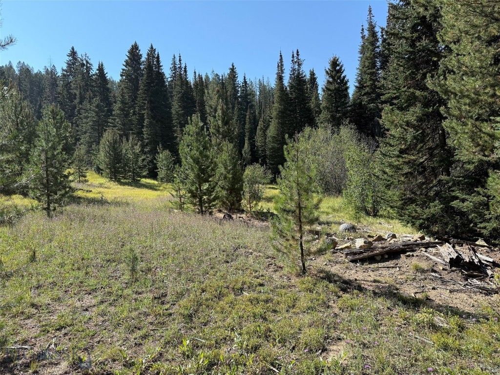 NHN Bell Trail, Philipsburg, MT 59858 photo 17