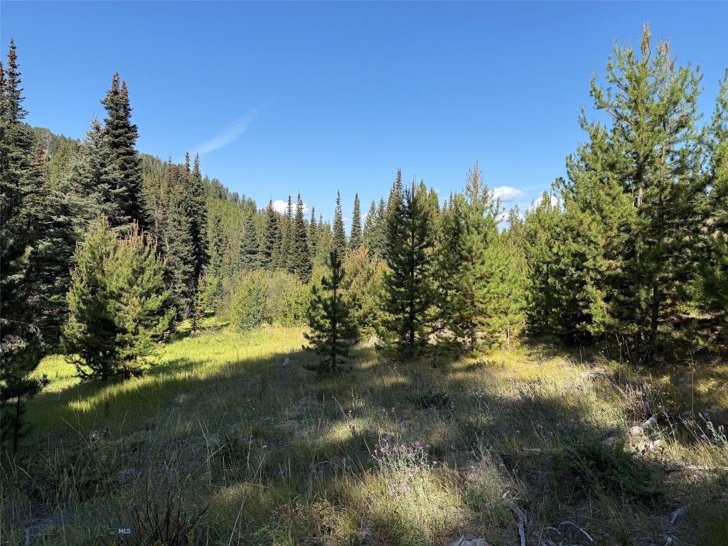 NHN Bell Trail, Philipsburg, MT 59858 photo 18