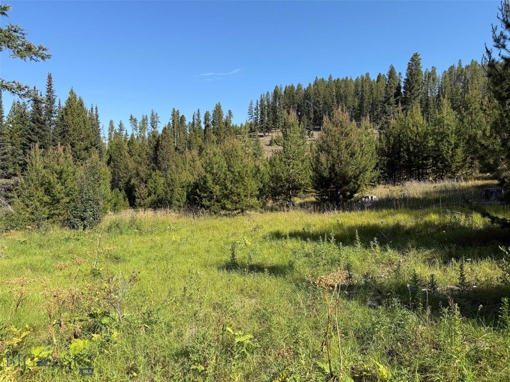 NHN Bell Trail, Philipsburg, MT 59858 photo 19
