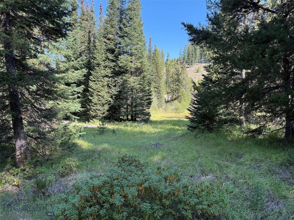 NHN Bell Trail, Philipsburg, MT 59858 photo 20