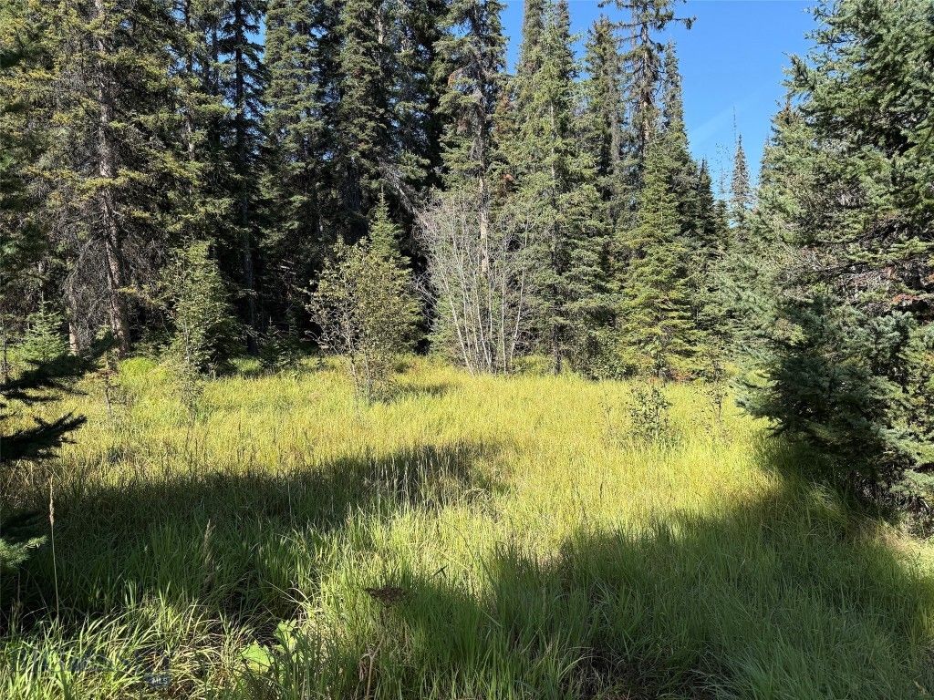 NHN Bell Trail, Philipsburg, MT 59858 photo 21