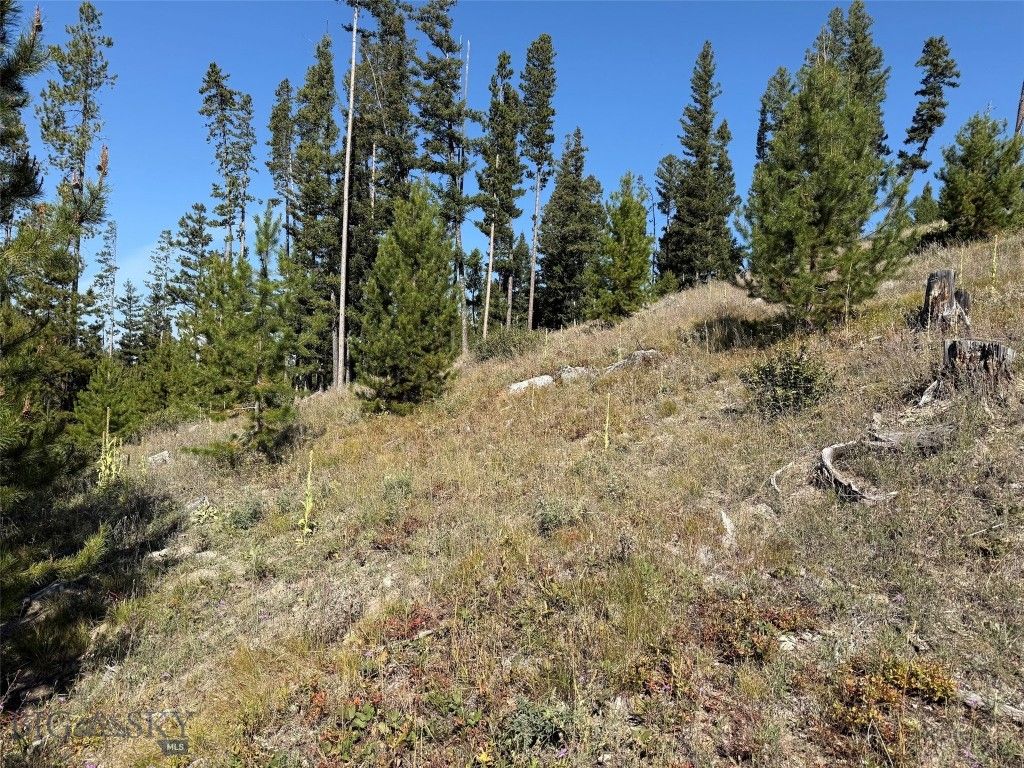 NHN Bell Trail, Philipsburg, MT 59858 photo 22