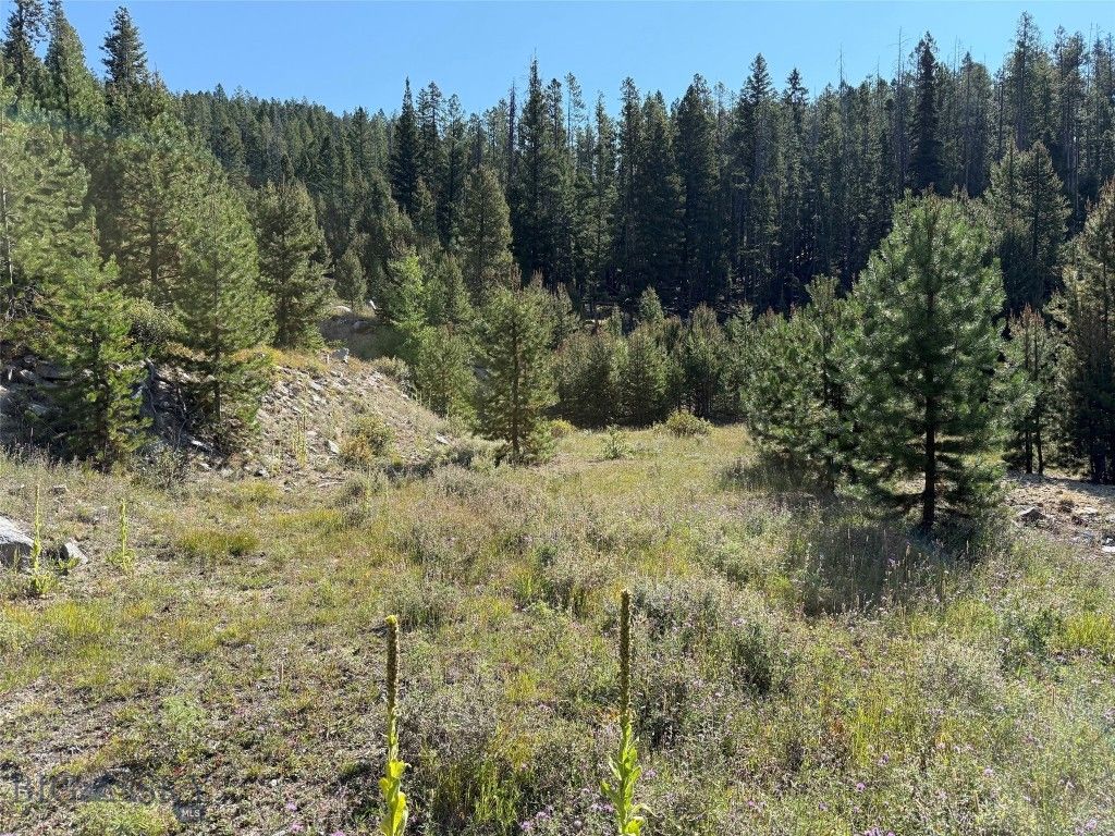 NHN Bell Trail, Philipsburg, MT 59858 photo 23