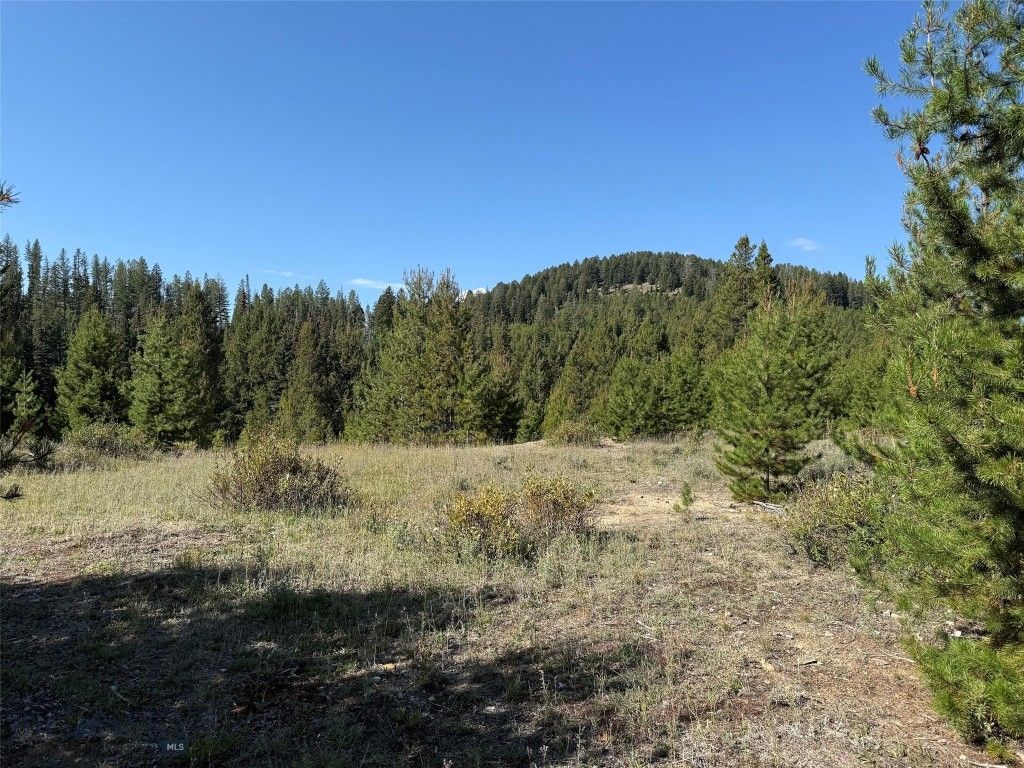 NHN Bell Trail, Philipsburg, MT 59858 photo 25