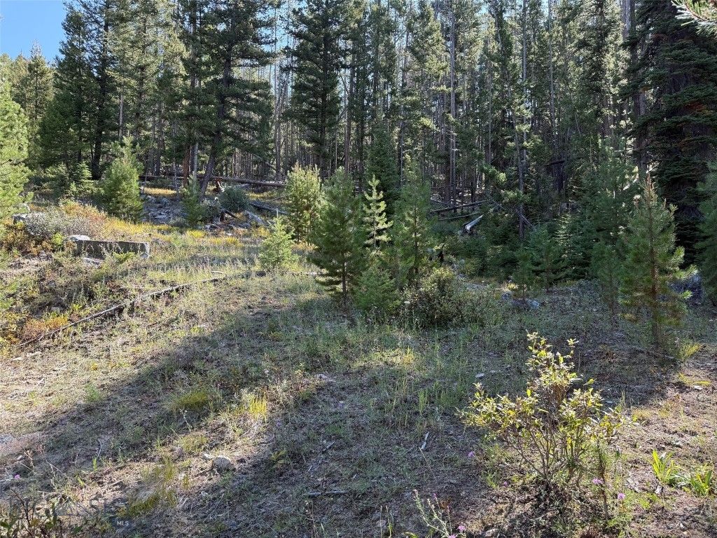 NHN Bell Trail, Philipsburg, MT 59858 photo 26