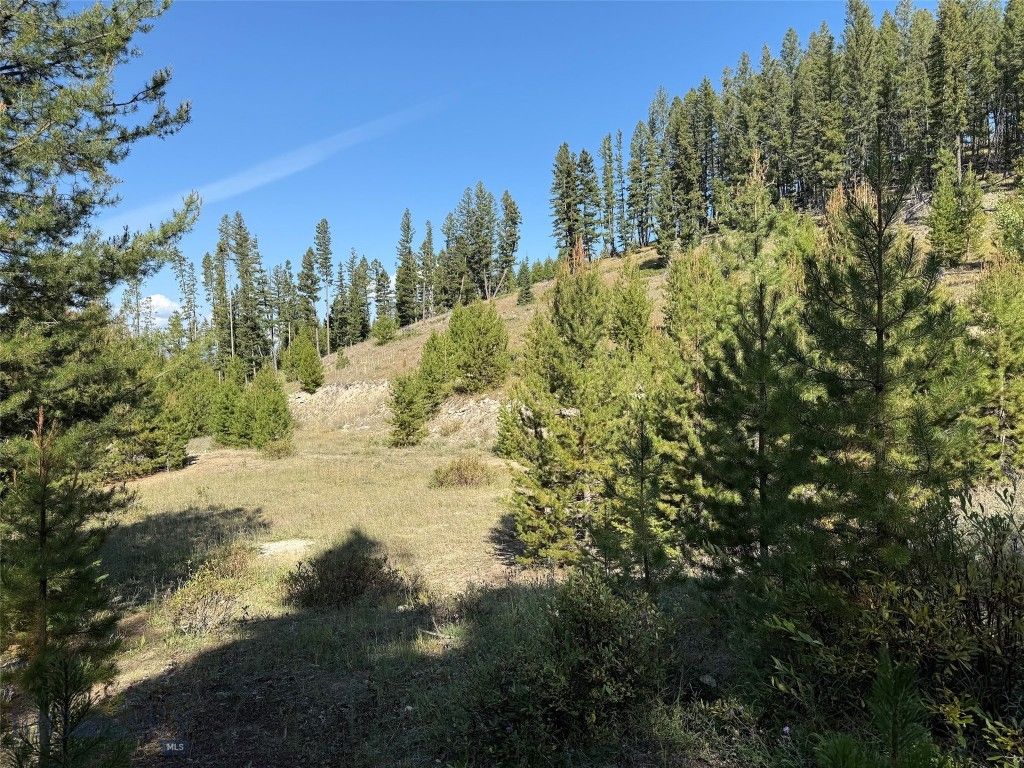 NHN Bell Trail, Philipsburg, MT 59858 photo 27