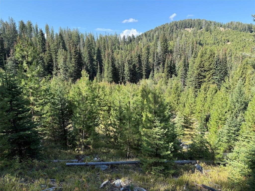 NHN Bell Trail, Philipsburg, MT 59858 photo 28