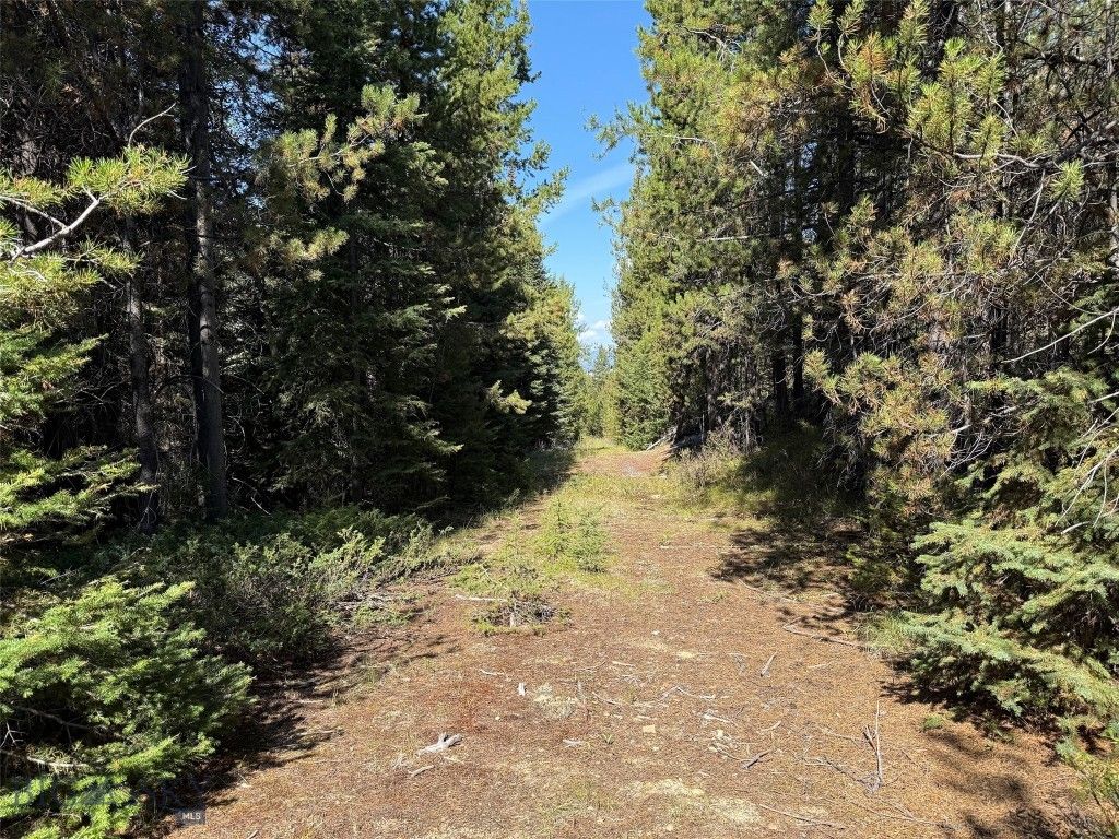 NHN Bell Trail, Philipsburg, MT 59858 photo 29