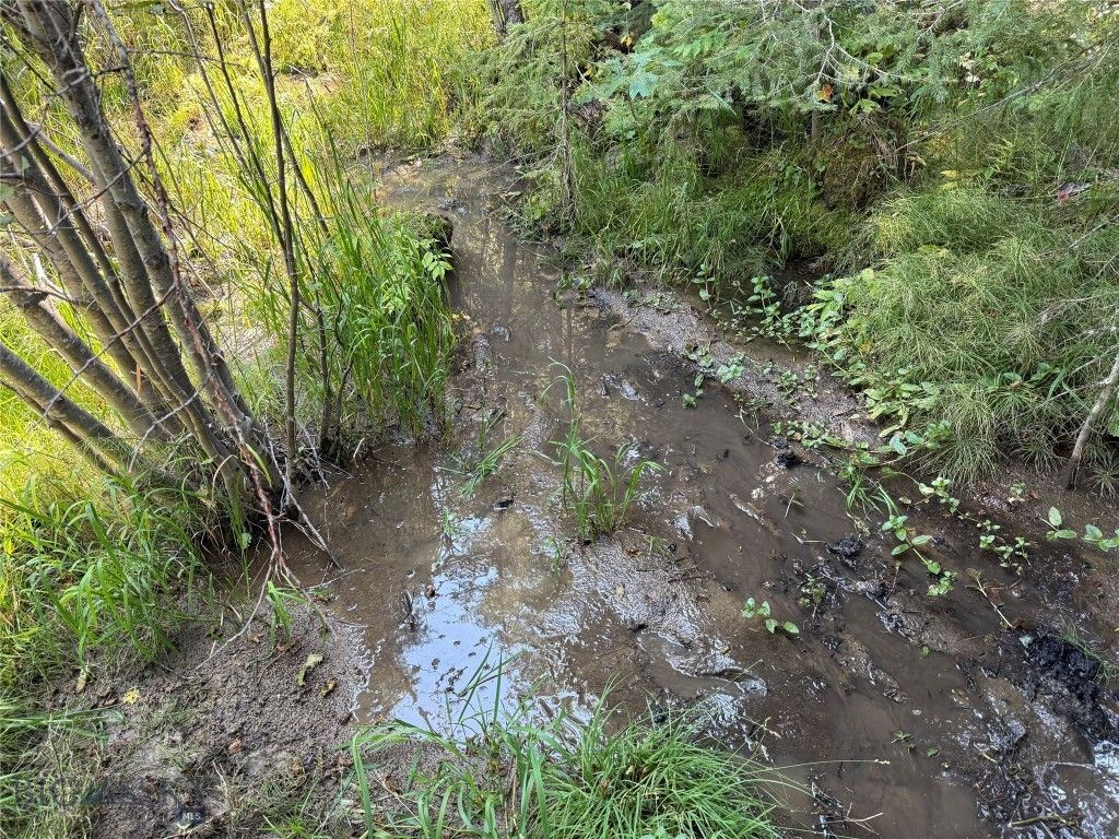 NHN Bell Trail, Philipsburg, MT 59858 photo 3
