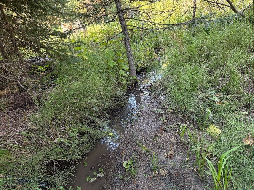 NHN Bell Trail, Philipsburg, MT 59858 photo 30