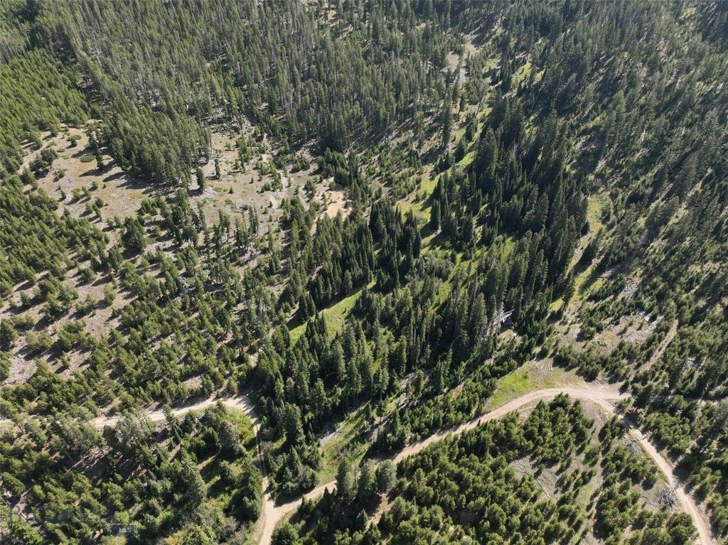 NHN Bell Trail, Philipsburg, MT 59858 photo 5