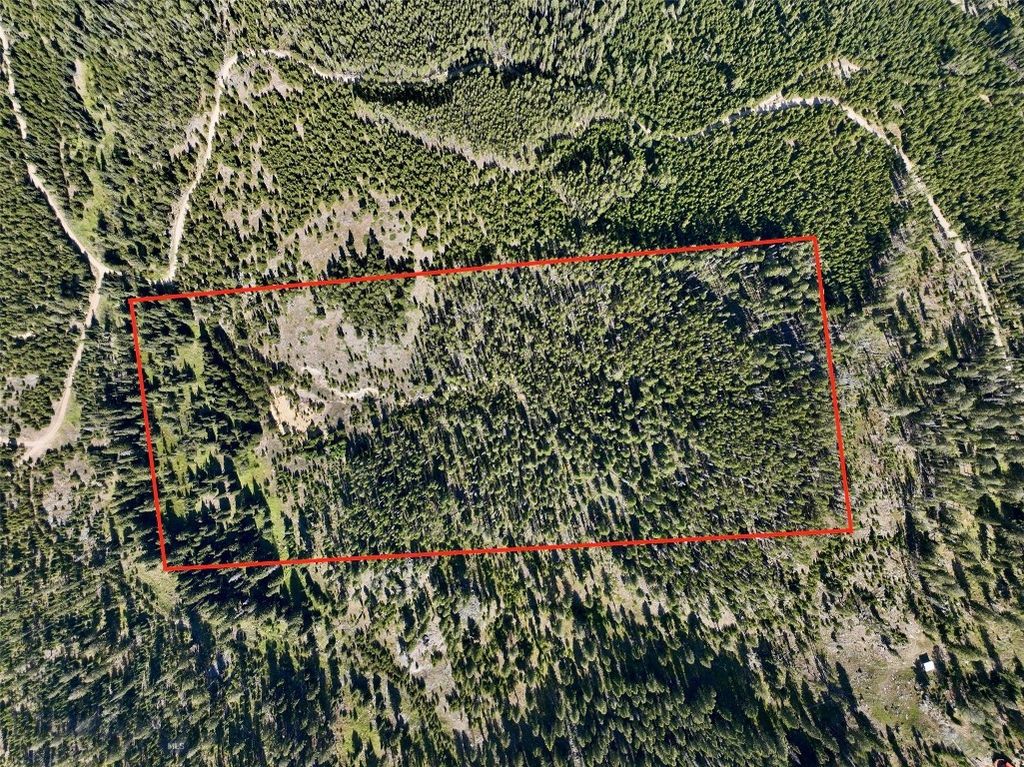 NHN Bell Trail, Philipsburg, MT 59858 photo 6