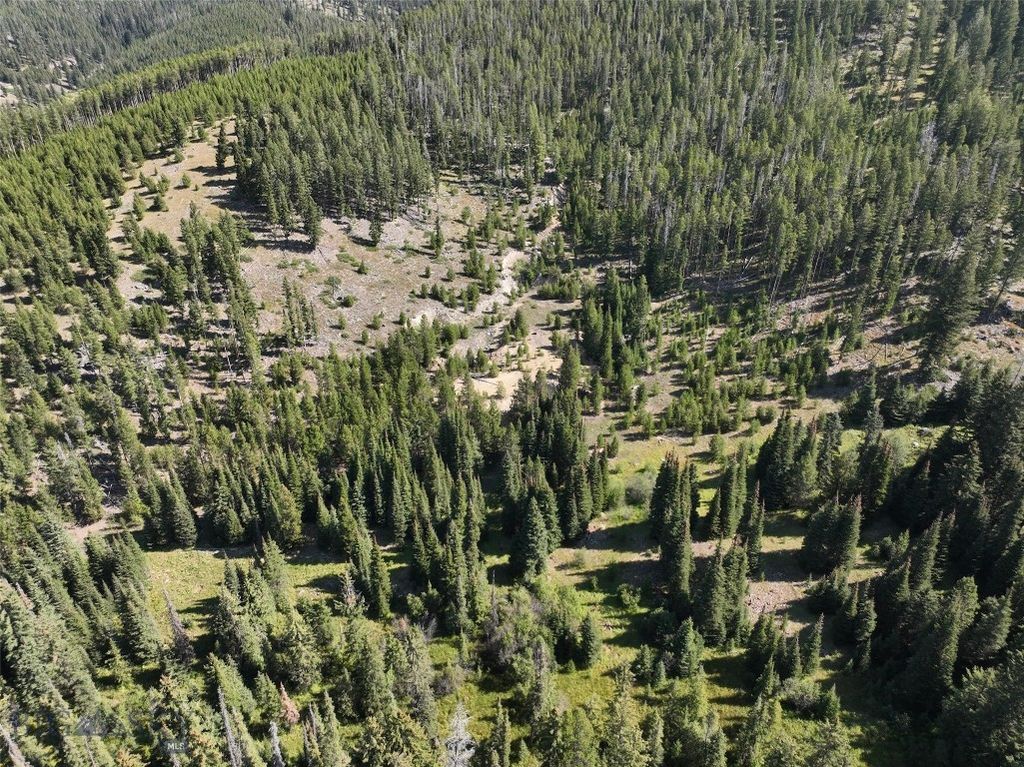 NHN Bell Trail, Philipsburg, MT 59858 photo 7