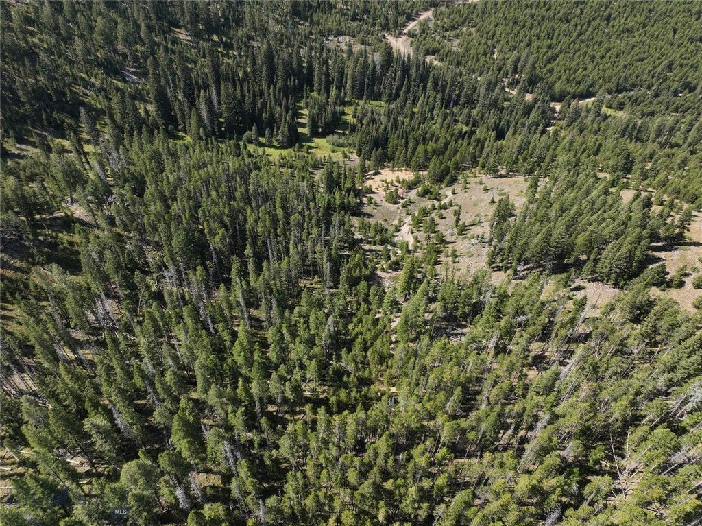 NHN Bell Trail, Philipsburg, MT 59858 photo 8