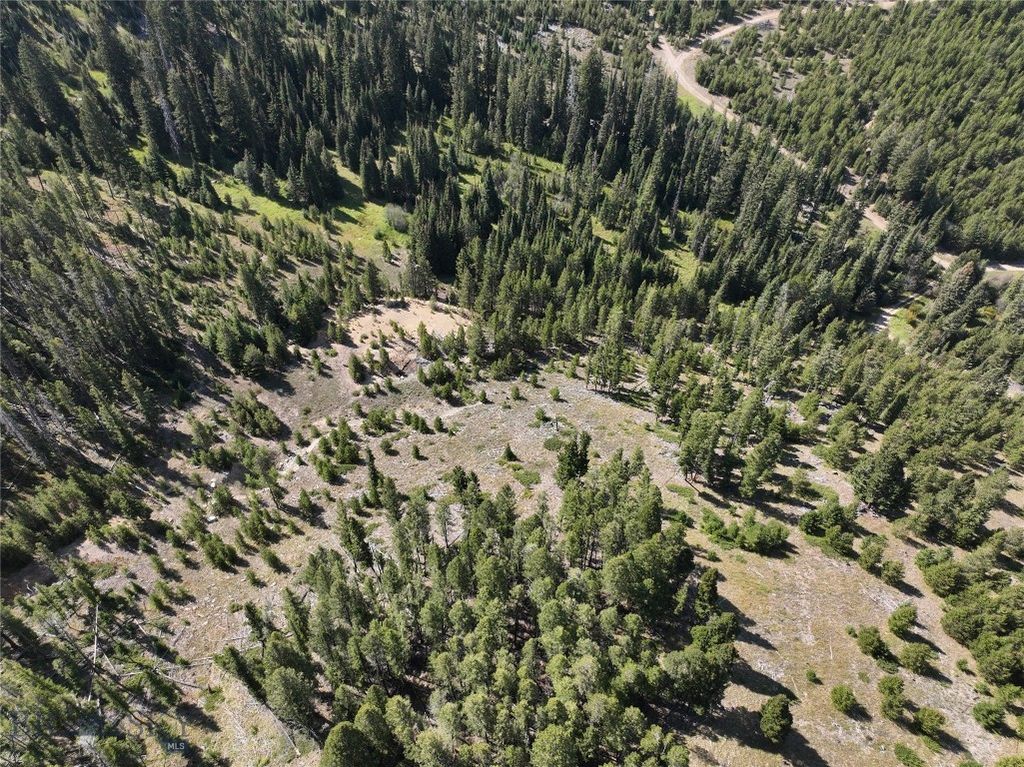 NHN Bell Trail, Philipsburg, MT 59858 photo 9
