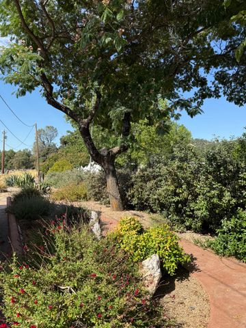 1026 Coyote Creek Rd, Murphys, CA 95247